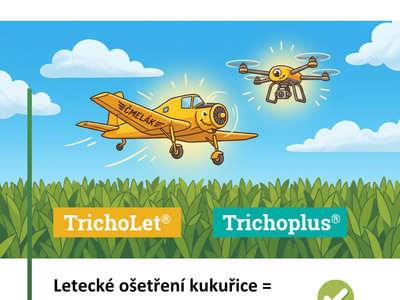 2026 TrichoLet infografika 1