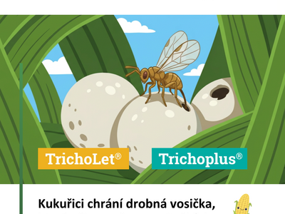 2026 TrichoLet infografika 2
